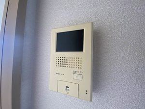 ヴィラ・パルコ A棟 * A0201号-11