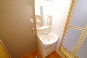 ル・ソレイユ　＊＊　Ｂ棟 B0201号-5