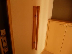 ディアスＭＳ　Ｂ棟　＊＊ B0101号-3