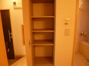 ディアスＭＳ　Ｂ棟　＊＊ B0101号-9