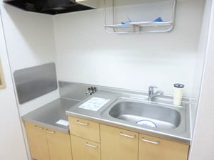 Ｔ・ＳファミールⅤ　＊＊ E0202号-5