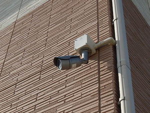 ミル・フラーズ　＊＊ A0202号-14