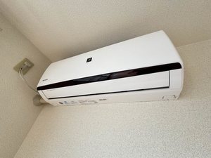 アルヴェ・ヒロ　＊ A0202号-10