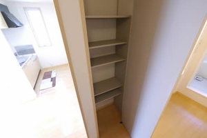 パーク　サイト　＊＊　Ⅳ番館 D0102号-15