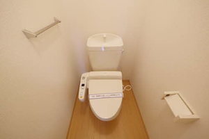 パーク サイト ** Ⅳ番館 D0201号-6