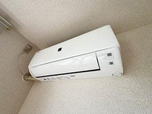 エスペランサ　＊ A0102号-8