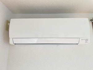 サーカム・グリーン * A0101号-13