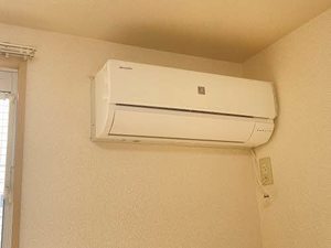 ラヴニーナ A0102号-11