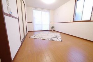 ロイヤルパレス本城　Ｃ棟 C0102号-2