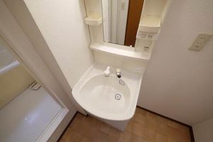 ロイヤルパレス本城　Ｃ棟 C0102号-5