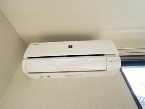 アイビー A棟 ** A0203号-8