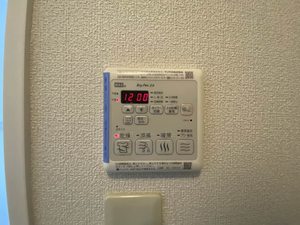 リンデンバーム A棟 ** A0203号-10