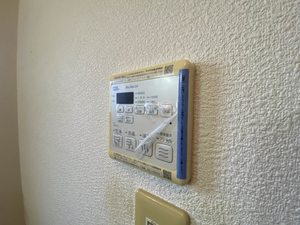 リンデンバーム　Ｂ棟　＊＊ B0101号-10