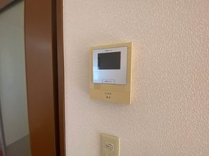 リンデンバーム　Ｂ棟　＊＊ B0101号-11