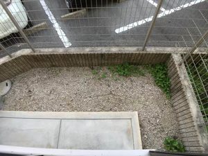 フェリーク　Ⅰ棟　＊＊ A0101号-5