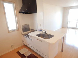 フェリーク　Ⅱ棟　＊＊ B0201号-3