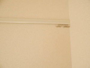 シャーメゾン東春日　＊ A0201号-12