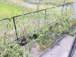 エスポアール愛　Ｃ棟　＊ C0101号-13