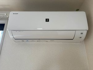 フルールサクラ　＊ A0103号-12