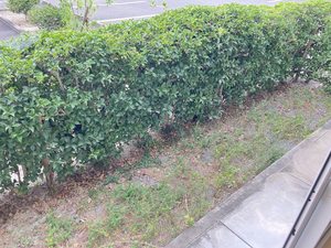 メゾンエクサラン　Ｃ棟 C0102号-13