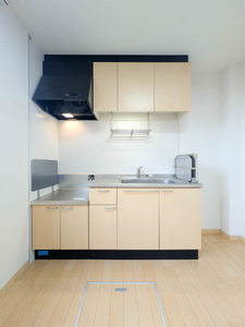 コスモスハウス・S A棟 ** A0101号-3