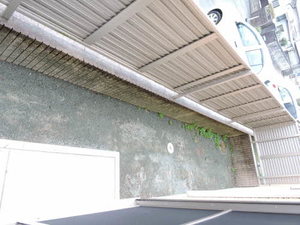 カトレア須恵 ** A0101号-10