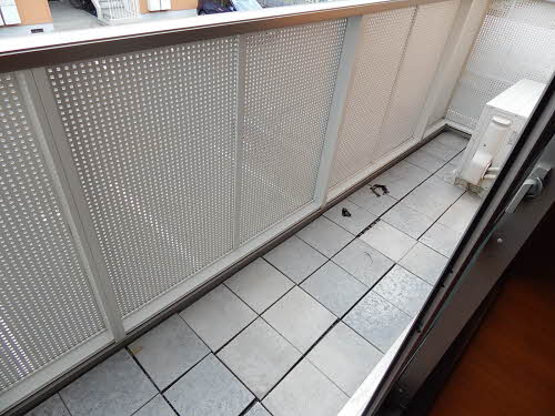 ディアスとも　Ａ棟　＊ A0202号-13