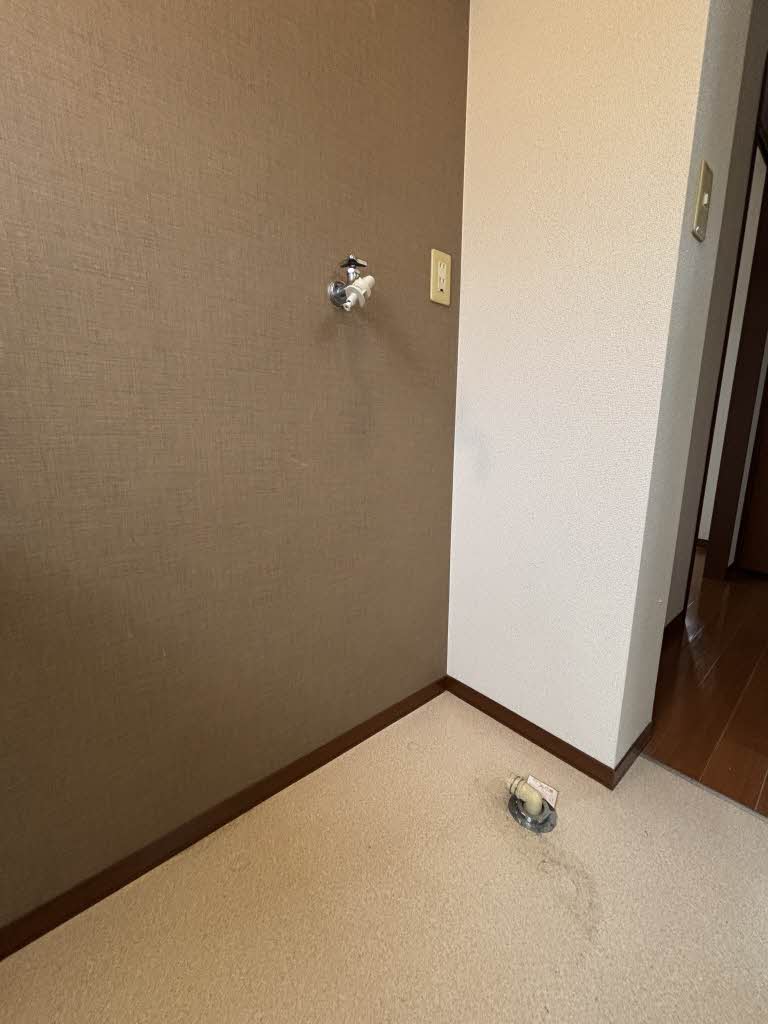 ディアス・オーク　＊ A0101号-6