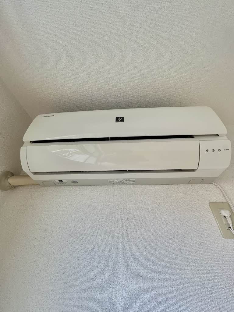 その他画像11