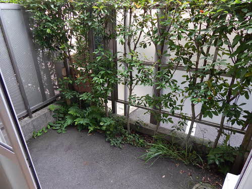 メゾンパリス坂之上　＊ A0105号-13