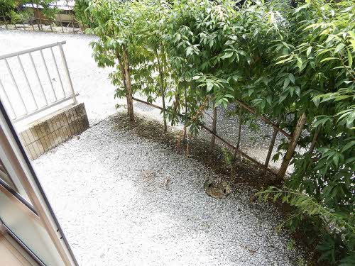 プリムローズ朽網 ** A0103号-13