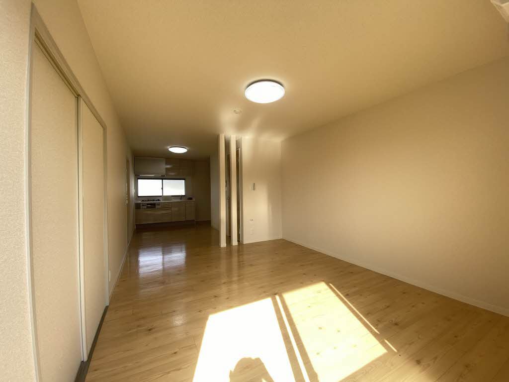 ダイアンサスＫ・Ⅱ　＊＊ B0201号-1