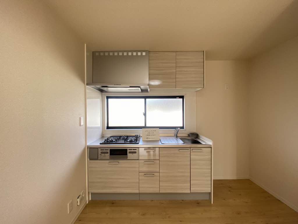 ダイアンサスＫ・Ⅱ　＊＊ B0201号-2