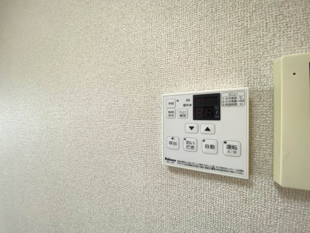 ダイアンサスＫ・Ⅱ　＊＊ B0201号-10