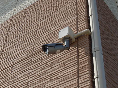 ミル・フラーズ　＊＊ A0202号-14