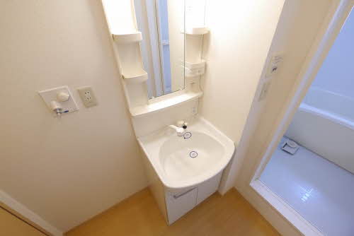 パーク　サイト　＊＊　Ⅳ番館 D0102号-4