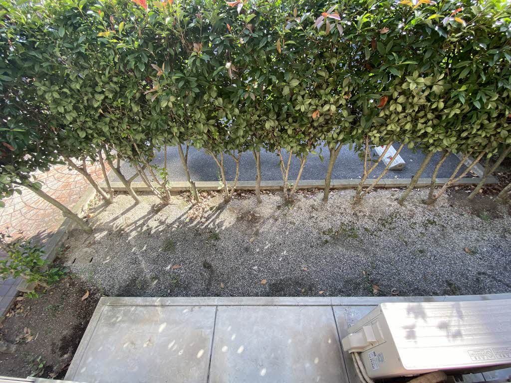 リンデンバーム　Ｂ棟　＊＊ B0101号-13