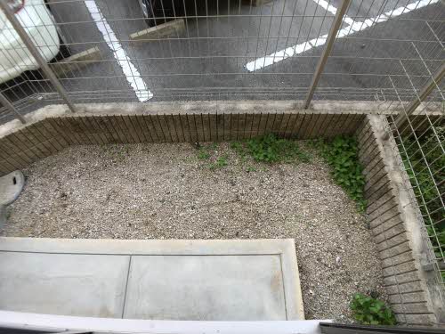 フェリーク　Ⅰ棟　＊＊ A0101号-5