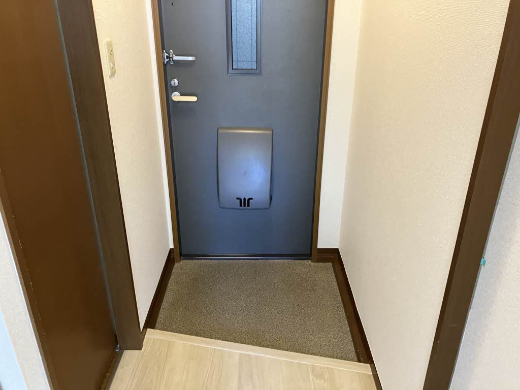 その他画像11