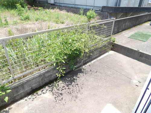 シャーメゾンＫ＆Ｍ　Ａ棟　＊ A0102号-15