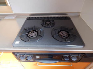 ハーティストＮ　Ｄ棟　＊＊ D0101号-4