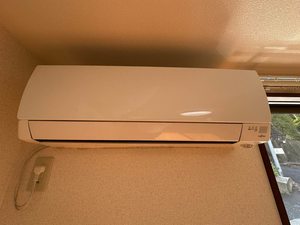 カームネス　＊ A0101号-4