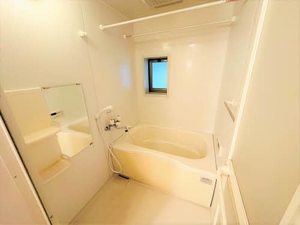 カームネス　＊ A0201号-11