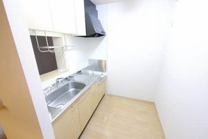 リバーサイド城西　Ｂ棟　＊＊ B0101号-3