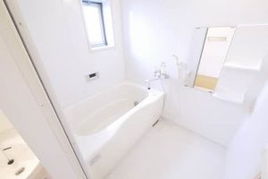 スクーデリア2006 ** B棟 B0102号-4