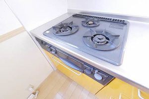 スクーデリア2006 ** B棟 B0102号-13