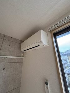 シャーメゾン　カメリア A0202号-11