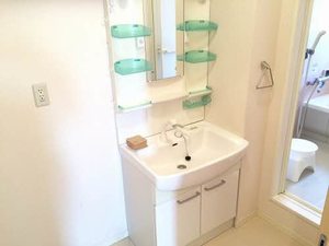 サン・ヴィレッジ　Ｃ棟 C0202号-8