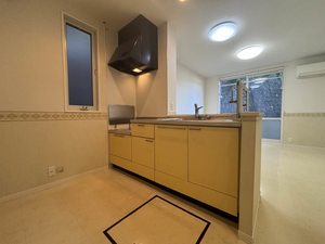 ディアスＫＳ A0102号-3