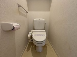 ディアスＫＳ A0102号-6